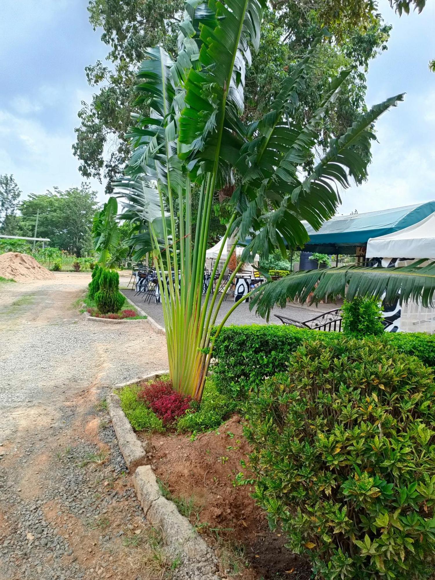 The Mara Resort Kitui Exteriör bild